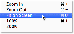 Selecting Fit on Screen from the View menu.