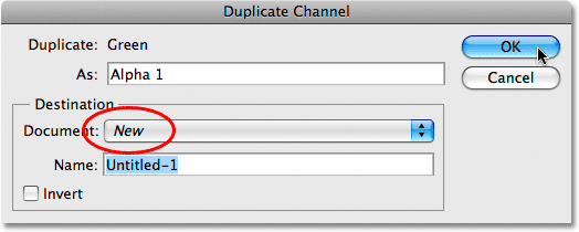 The Duplicate Channel dialog box in Photoshop.