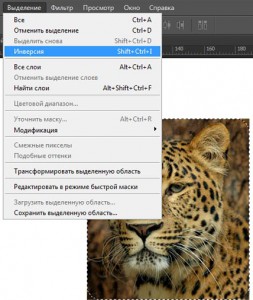 Инверсия в фотошопе