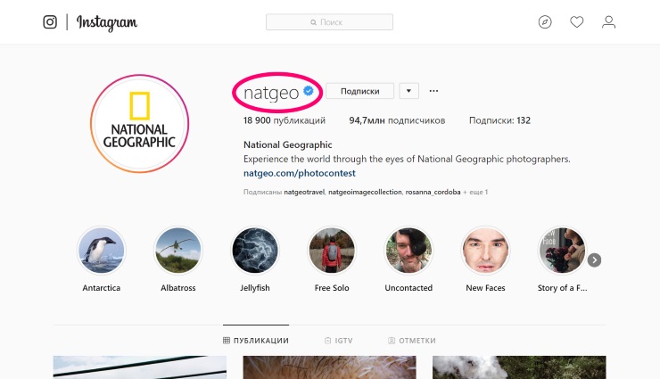 Имя в Инстаграме пример