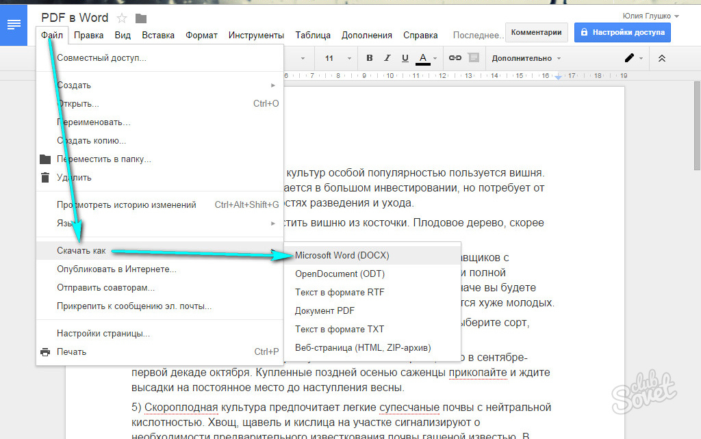 Как картинку из pdf вставить в word