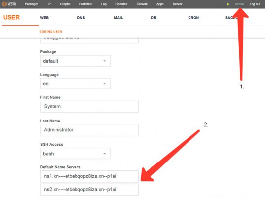 Настройка DNS Vestacp