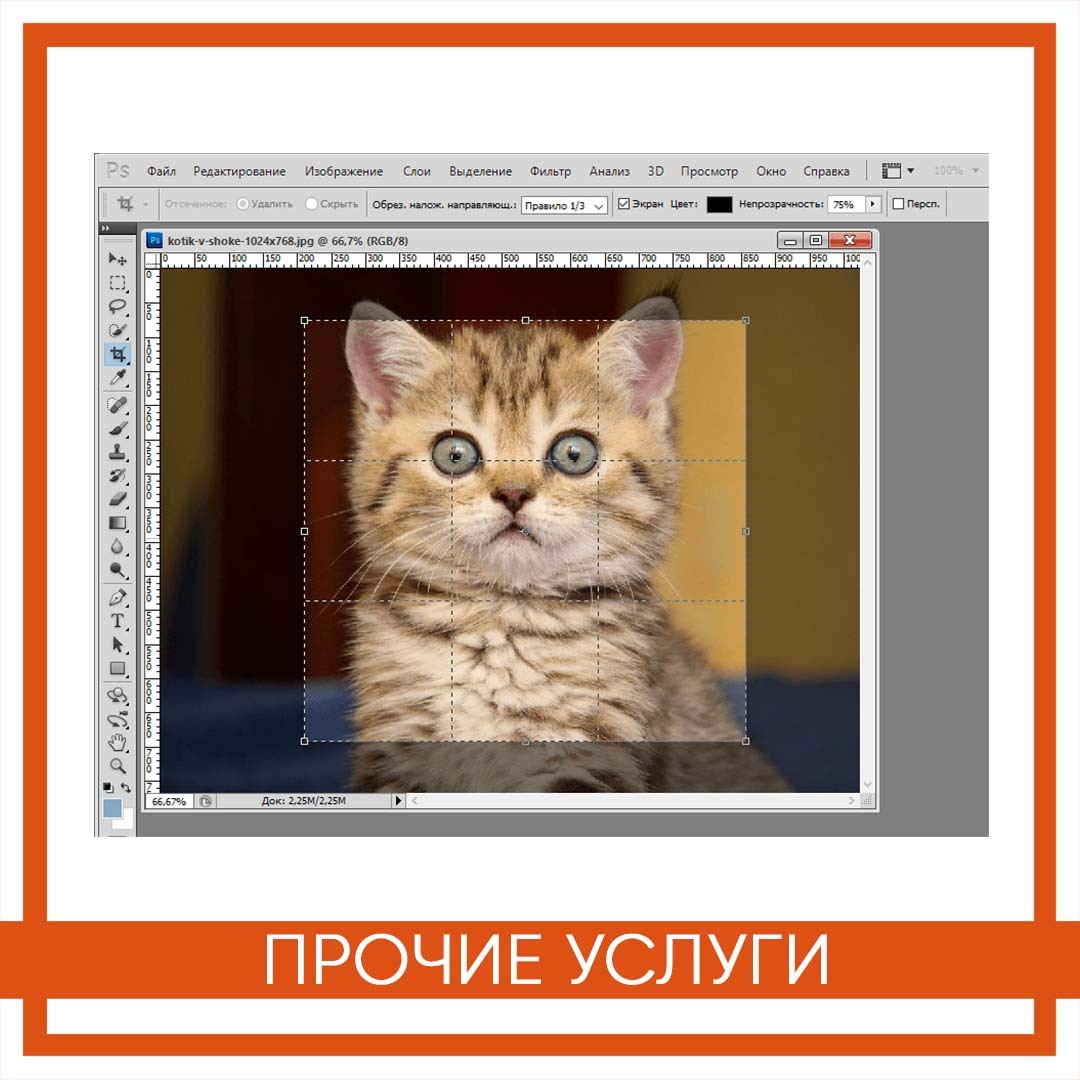 обрезать фотографию под размер