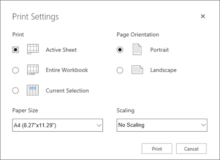Print settings options after clicking File > Print