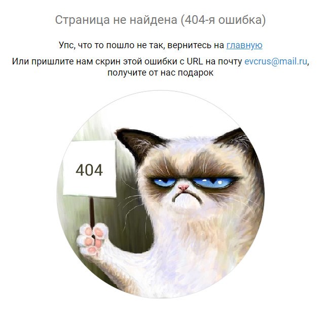 Страница 404 «Единого визового центра»