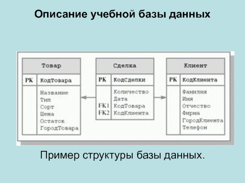 Что можно назвать базой данных. Описание базы данных. База данных с описанием. Образцы структуры баз данных. Описанная база данных.