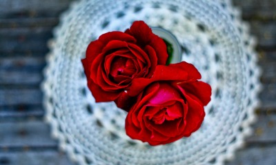 красные розы бутоны вязаная салфетка