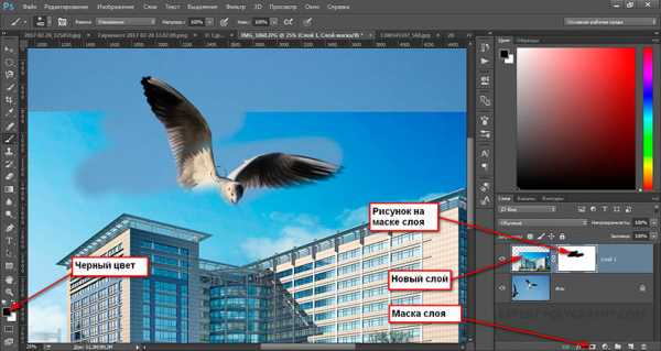 Coreldraw выделить по цвету